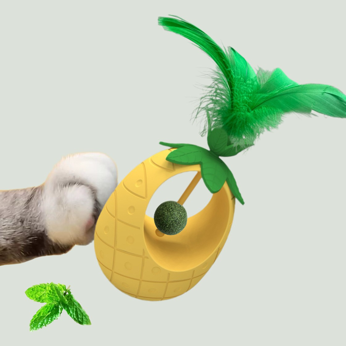 Pet Supplies Amazon - New Hot Cat Toys Amazon Mint