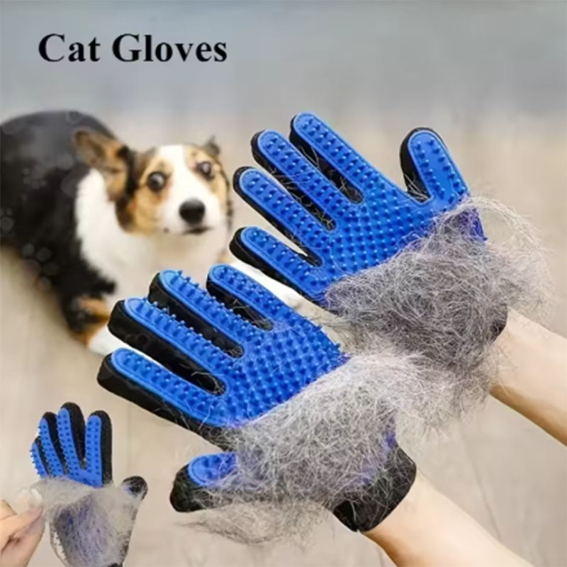 Pet Hair Glove Comb Pet Dog Ca - Pet Supplies Store avis et prix