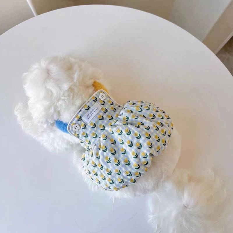 Creative Autumn and Winter Clo - Pet Supplies For Less avis et prix