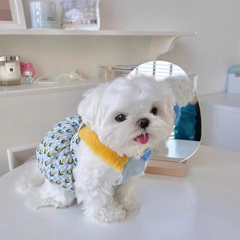 Creative Autumn and Winter Clo - Pet Supplies For Less avis et prix