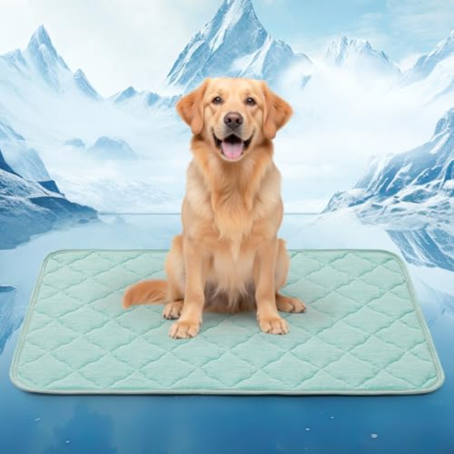 Dog Cooling Mat for Extra Larg - Dog Cooling Mat avis et prix