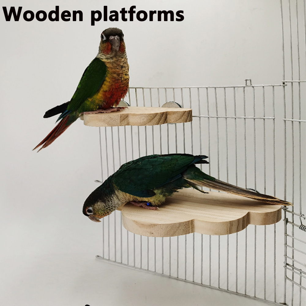 PARKER Pet Bird Parrot Log Sta - Pet Supplies Login avis et prix