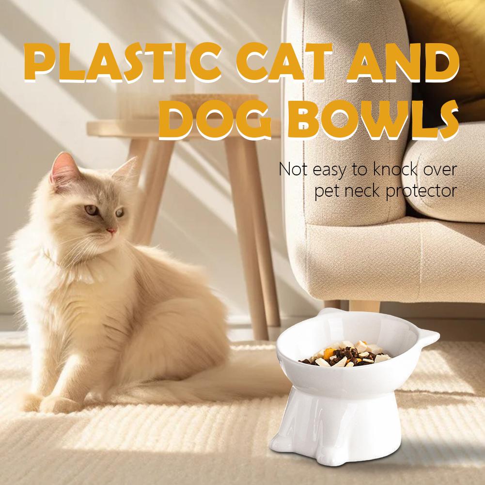 Black Cat Bowl Amazon Plastic  - Pet Supplies Amazon avis et prix