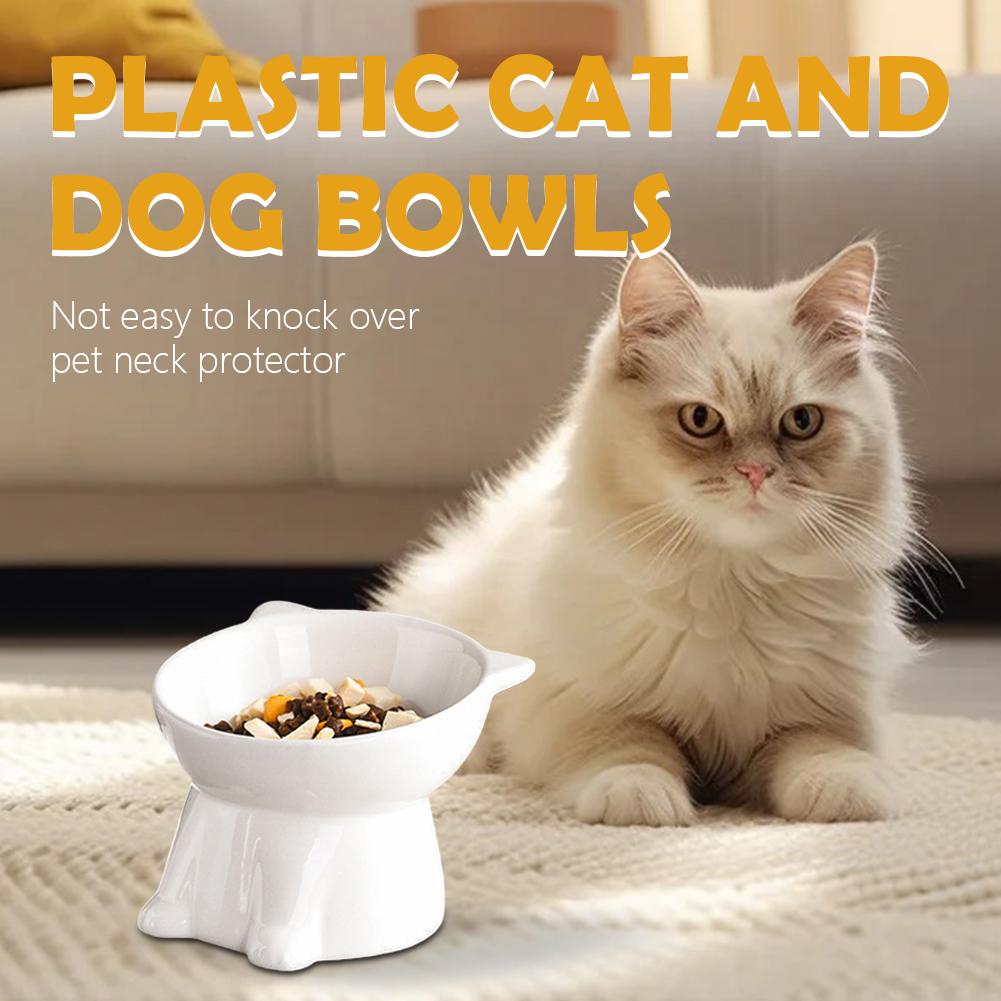 Black Cat Bowl Amazon Plastic  - Pet Supplies Amazon avis et prix