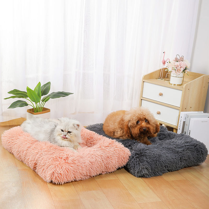 Supplies Mat Amazon New Dog Sl - Pet Supplies Amazon avis et prix