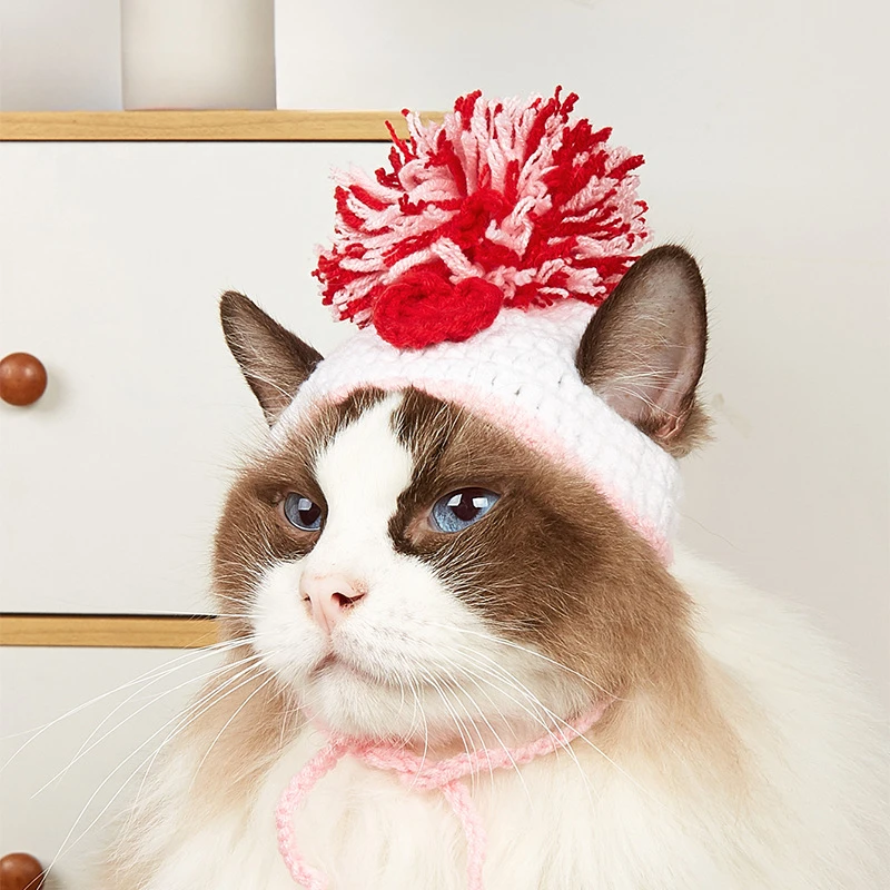 Factory direct sales pet knitt - Pet Supplies Amazon avis et prix