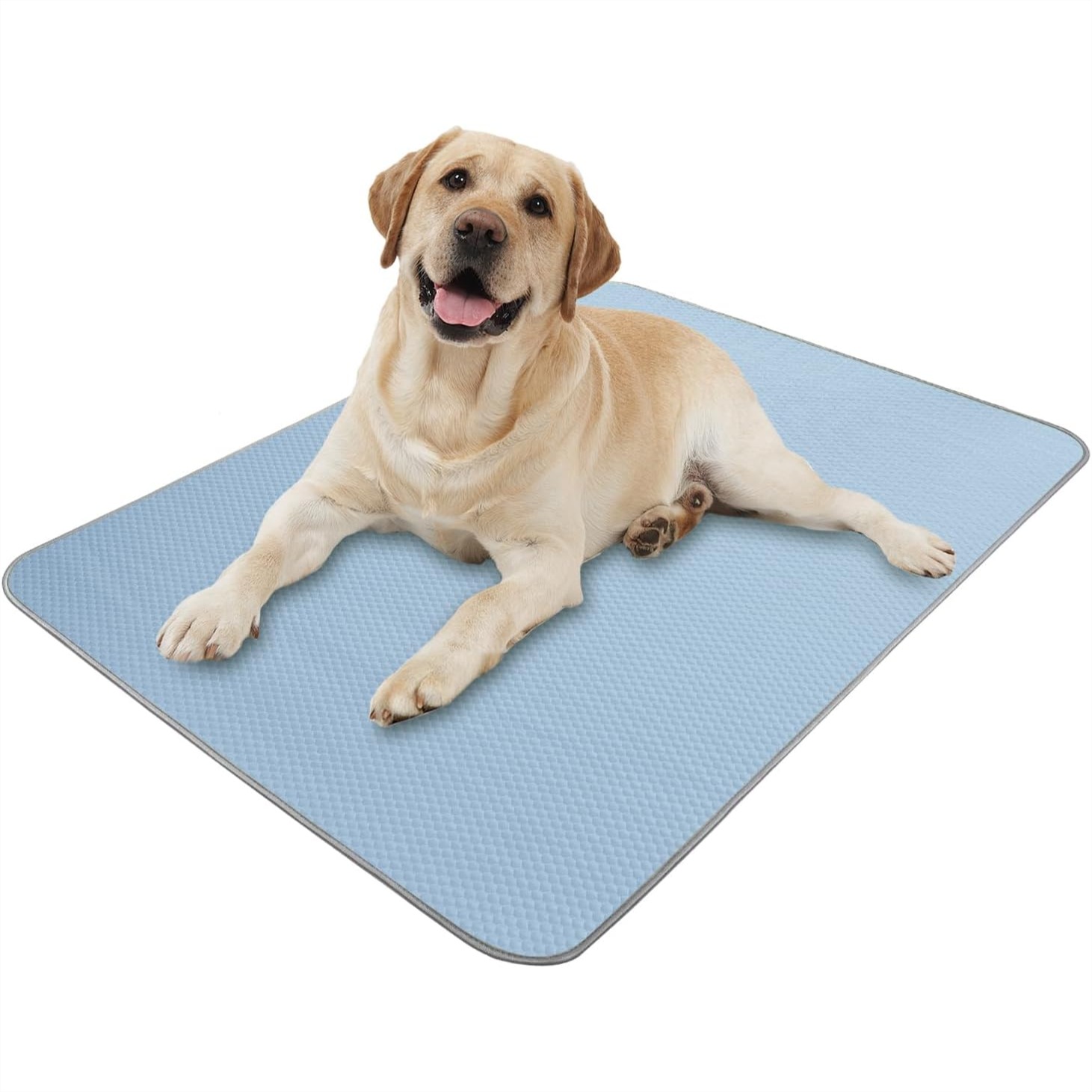 Summer Dog Cooling Mat Washabl - Dog Cooling Mat avis et prix