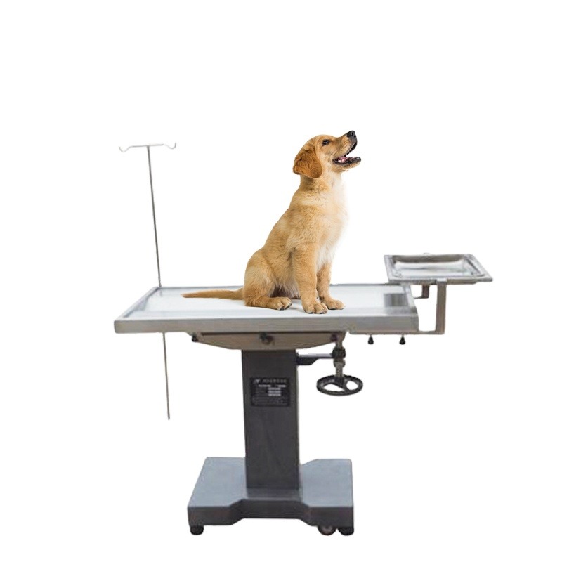 Pet Animals Medical Operation  - Pet Supplies Vet avis et prix