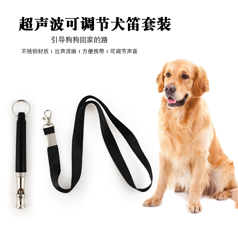 Amazon directly supplies pet t - Pet Supplies Amazon avis et prix