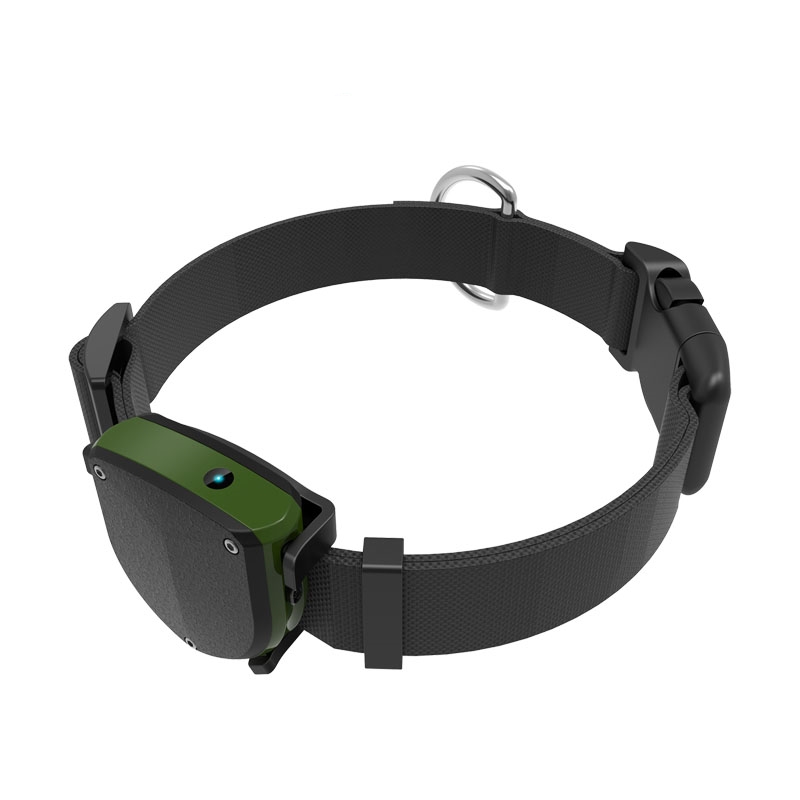 Pet GPS Tracker with Dog Colla - Pet Gps Tracker Collar avis et prix