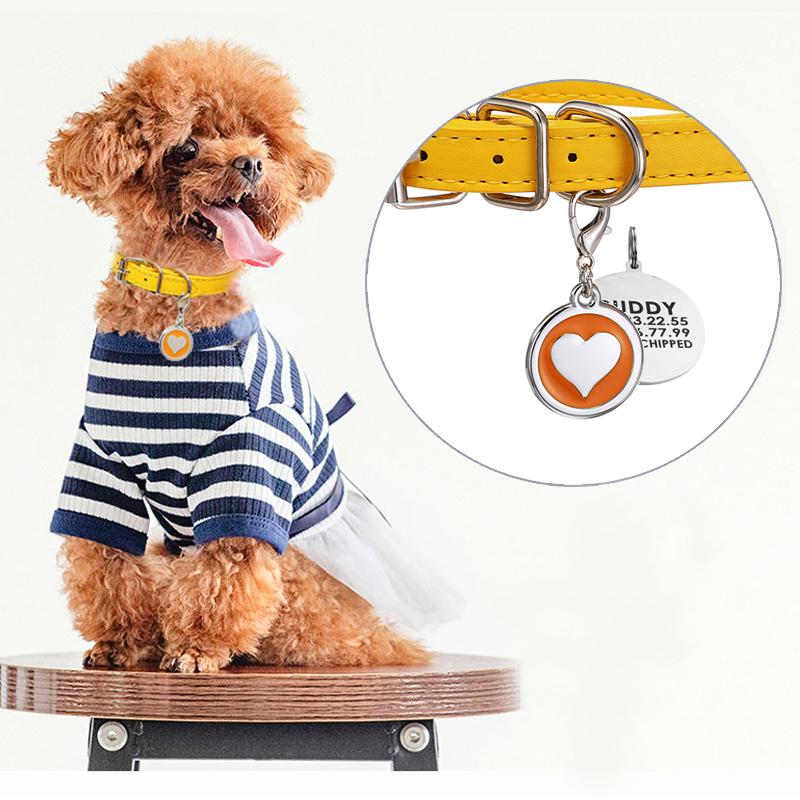 Pet Cat Dog Leather Collar Sta - Pet Supplies Login avis et prix