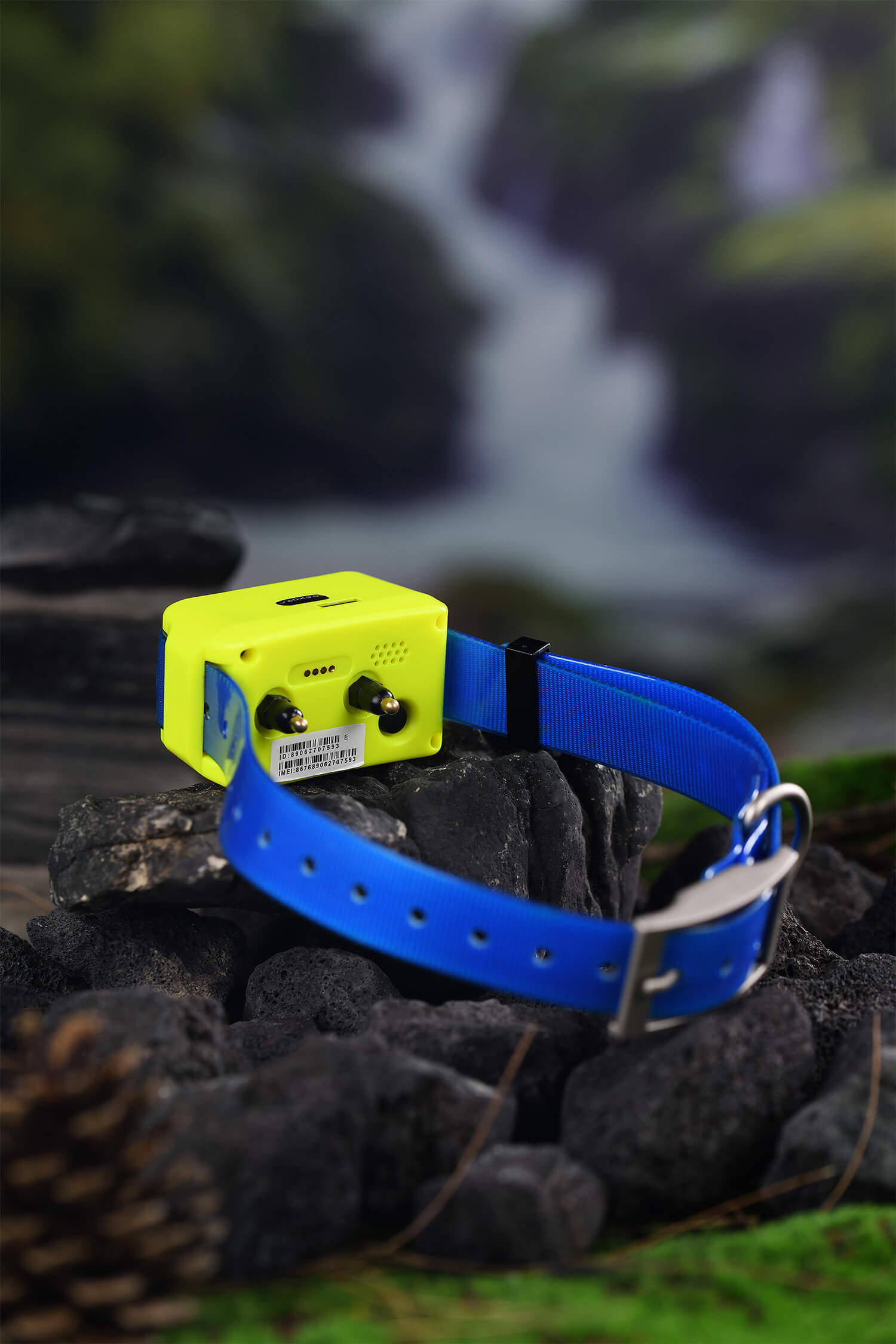4G Hound GPS Tracker Collar Wa - Pet Gps Tracker Collar avis et prix