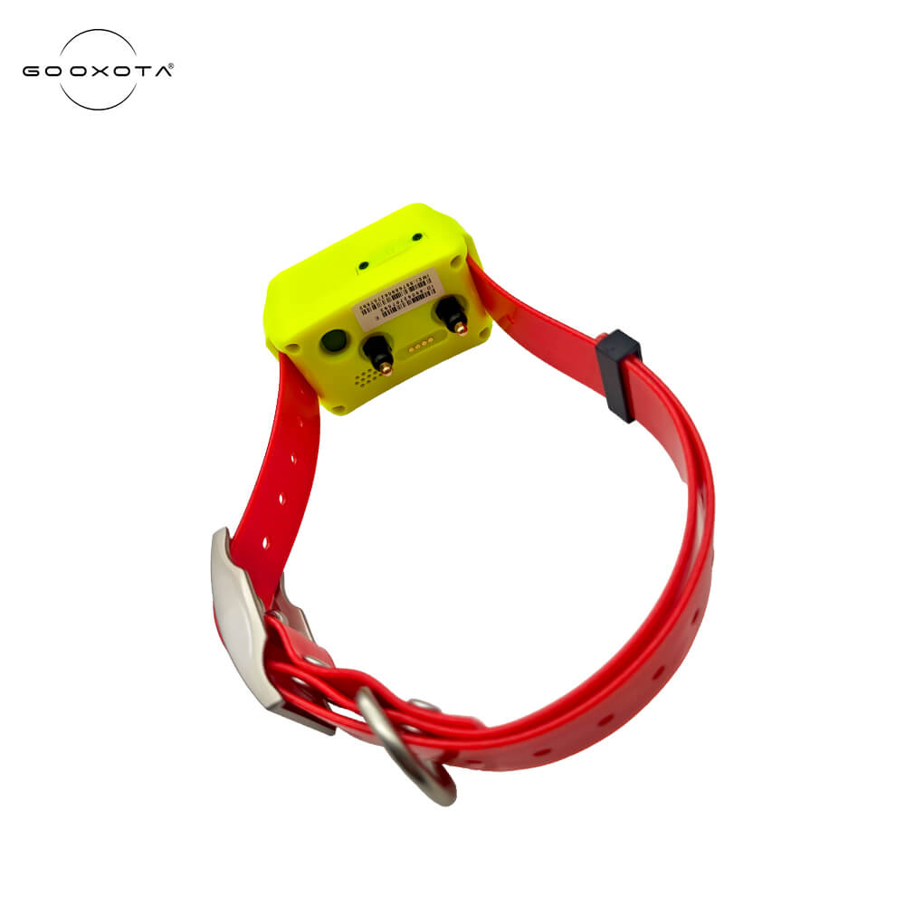 4G Hound GPS Tracker Collar Wa - Pet Gps Tracker Collar avis et prix