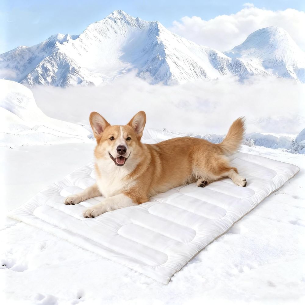 Dog Cooling Mat, Reversible Se - Dog Cooling Mat avis et prix