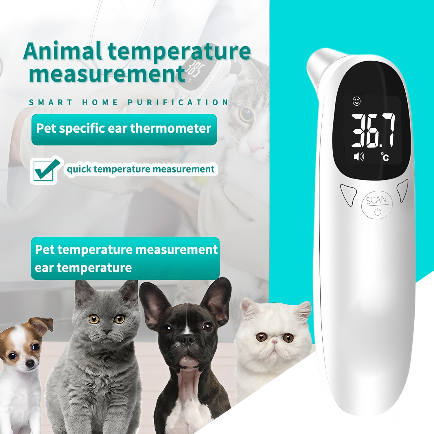 Pet Ear Digital Thermometer No - Pet Supplies Store avis et prix
