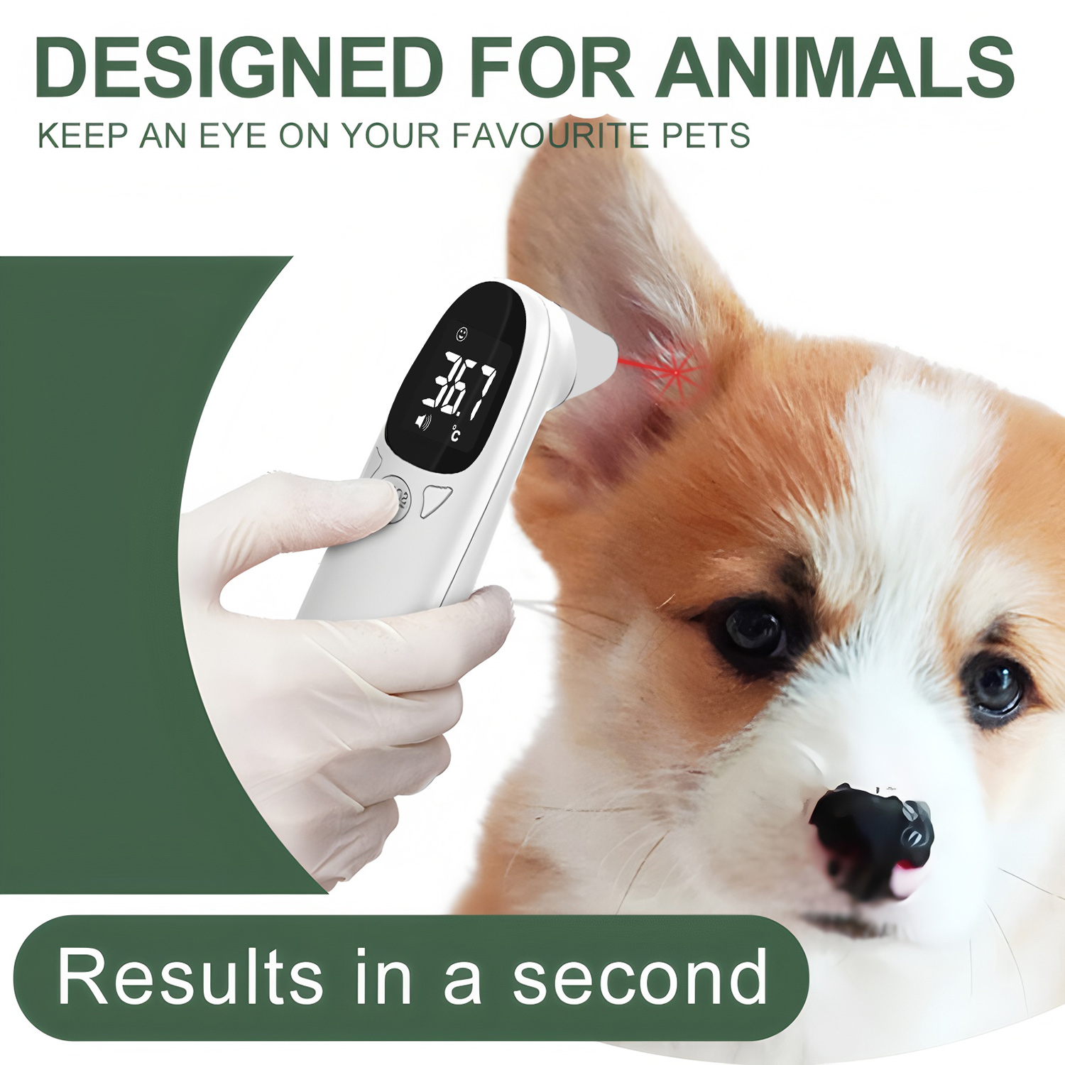 Pet Ear Digital Thermometer No - Pet Supplies Store avis et prix