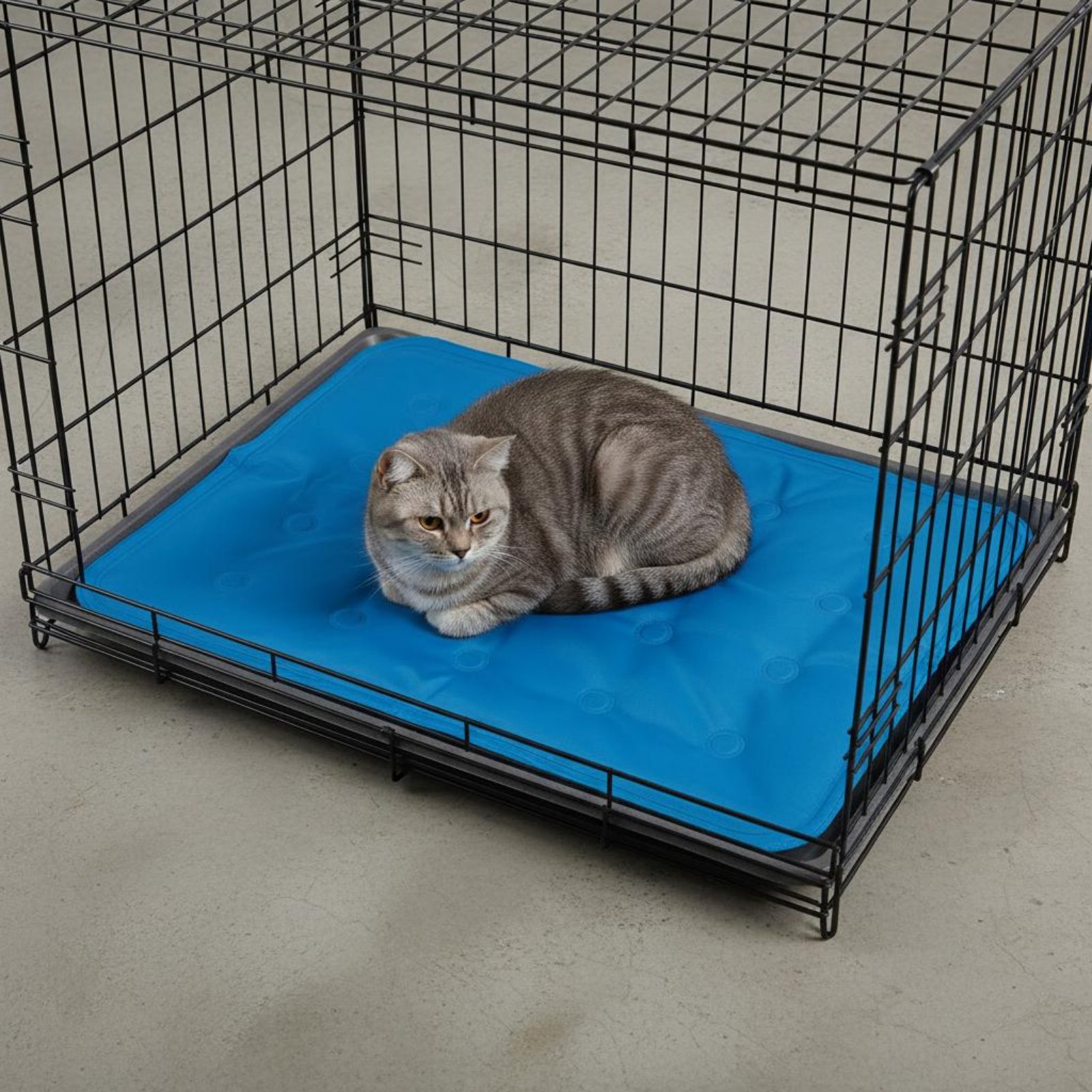 Pet Cooling Mat Gel Cooling Pa - Dog Cooling Mat avis et prix