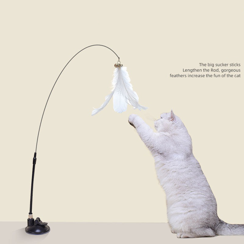 New powerful suction cat-teasi - Pet Supplies Amazon avis et prix