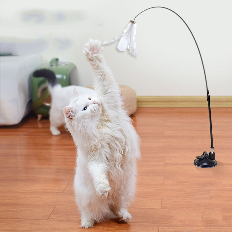 New powerful suction cat-teasi - Pet Supplies Amazon avis et prix