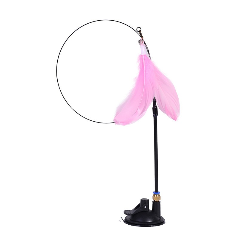 New powerful suction cat-teasi - Pet Supplies Amazon avis et prix
