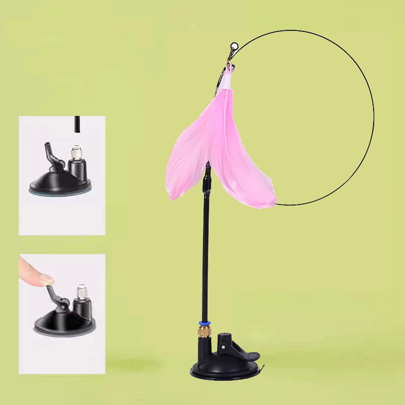 New powerful suction cat-teasi - Pet Supplies Amazon avis et prix