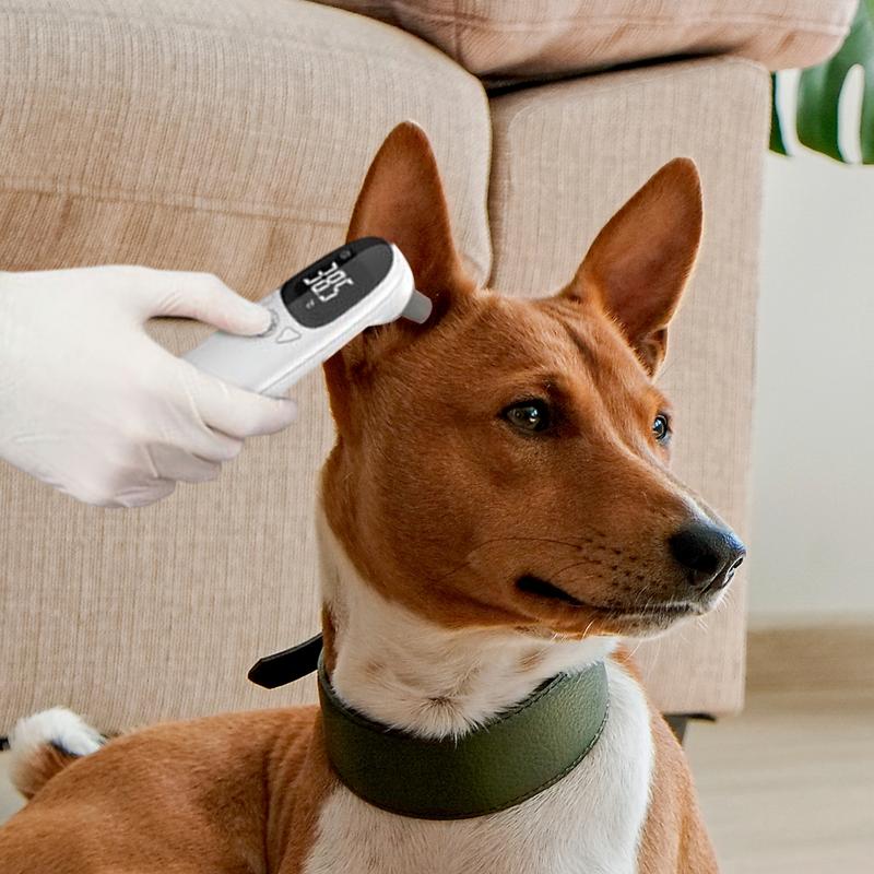 Pet Thermometers For Dogs Vet  - Pet Supplies Vet avis et prix