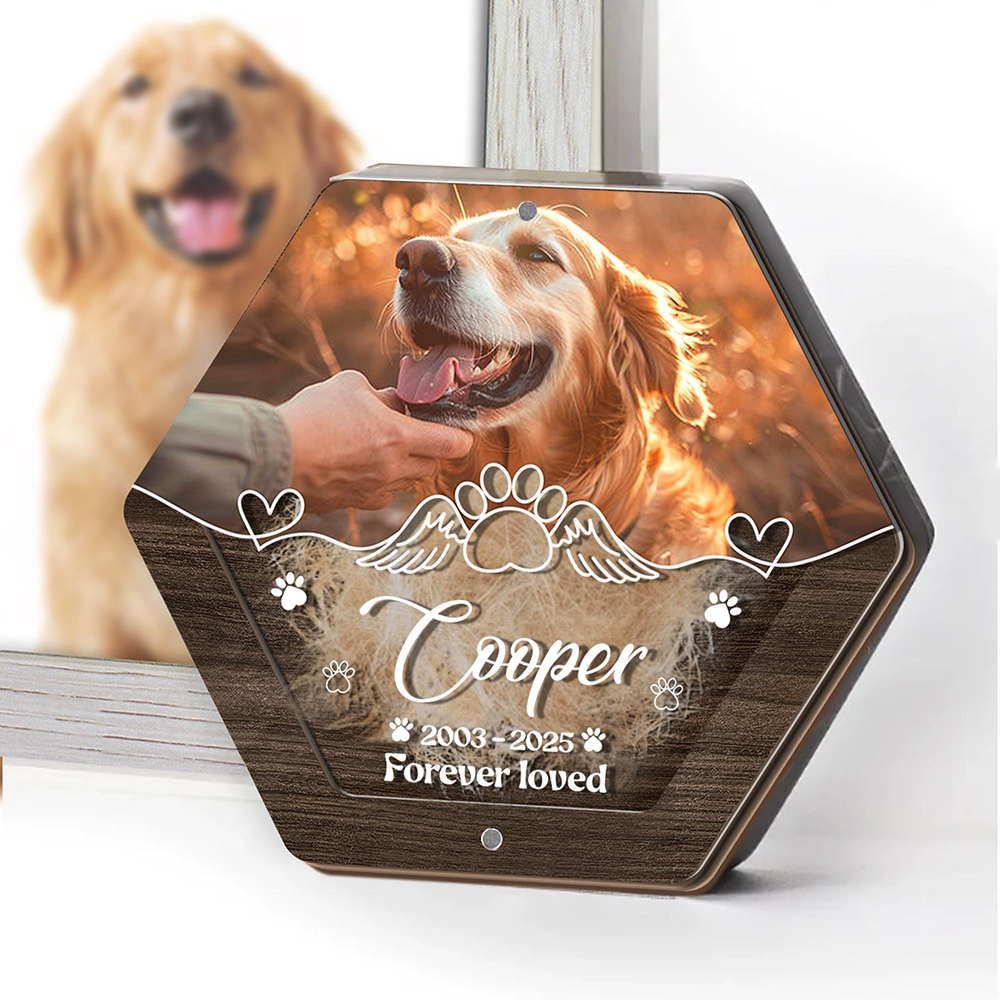 Personalized Name Wooden Carvi - Pet Supplies Store avis et prix
