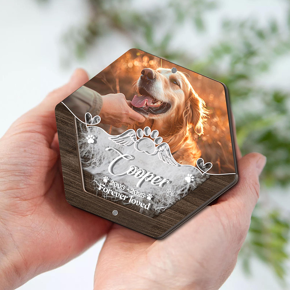 Personalized Name Wooden Carvi - Pet Supplies Store avis et prix