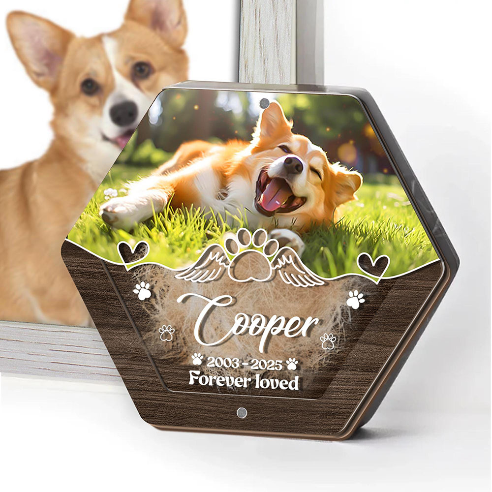 Personalized Name Wooden Carvi - Pet Supplies Store avis et prix