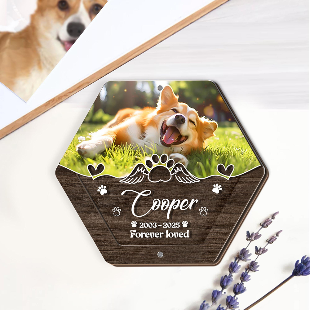 Personalized Name Wooden Carvi - Pet Supplies Store avis et prix