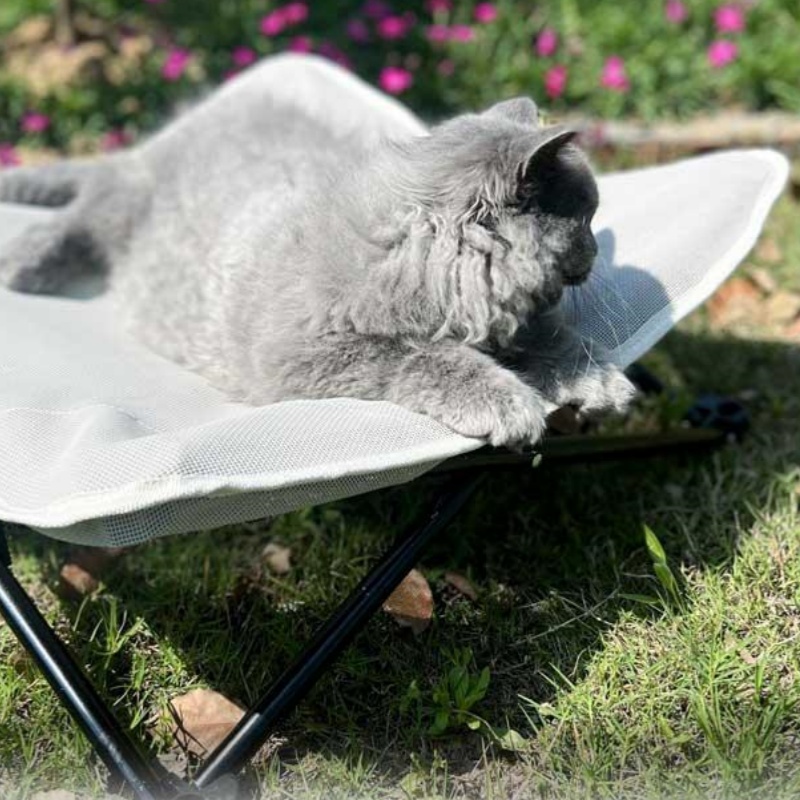 Pet Marching Bed Universal For - Pet Supplies Application avis et prix