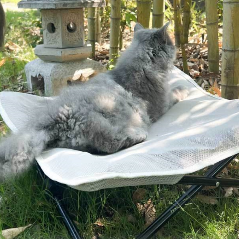Pet Marching Bed Universal For - Pet Supplies Application avis et prix
