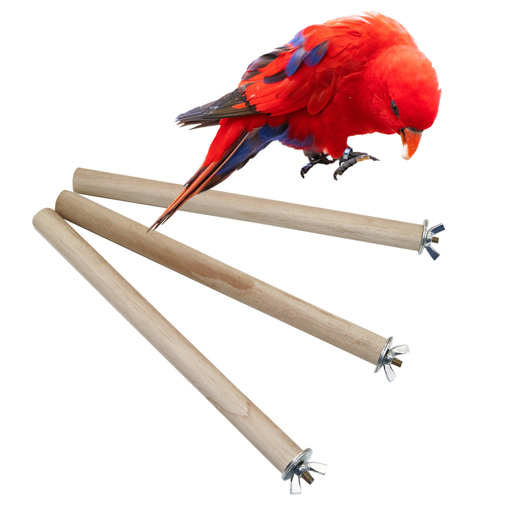 1 Pc Parrot Pigeon Pet Bird Lo - Pet Supplies Login avis et prix