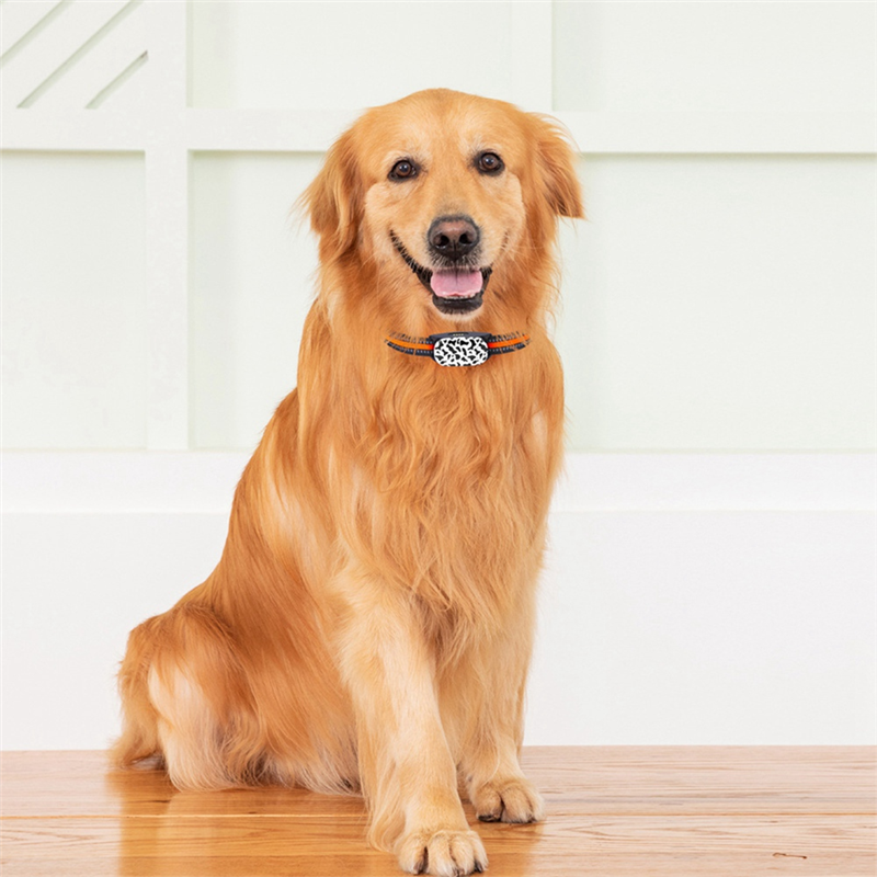 ABIYY-4G Dog Tracking Collar L - Pet Gps Tracker Collar avis et prix