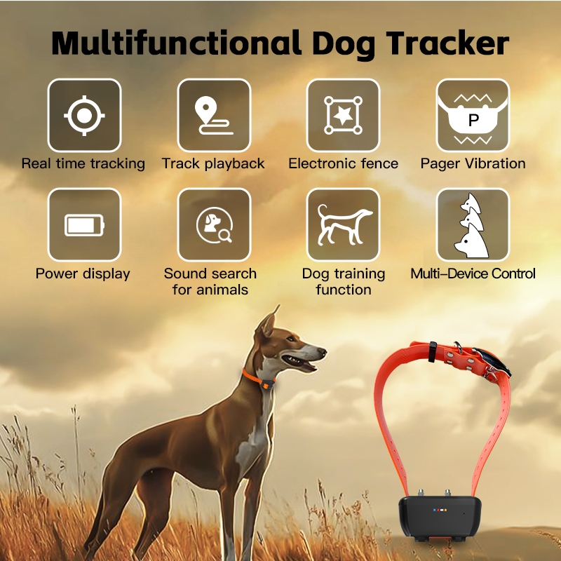 Special WiFi Waterproof GPS Do - Pet Gps Tracker Collar avis et prix