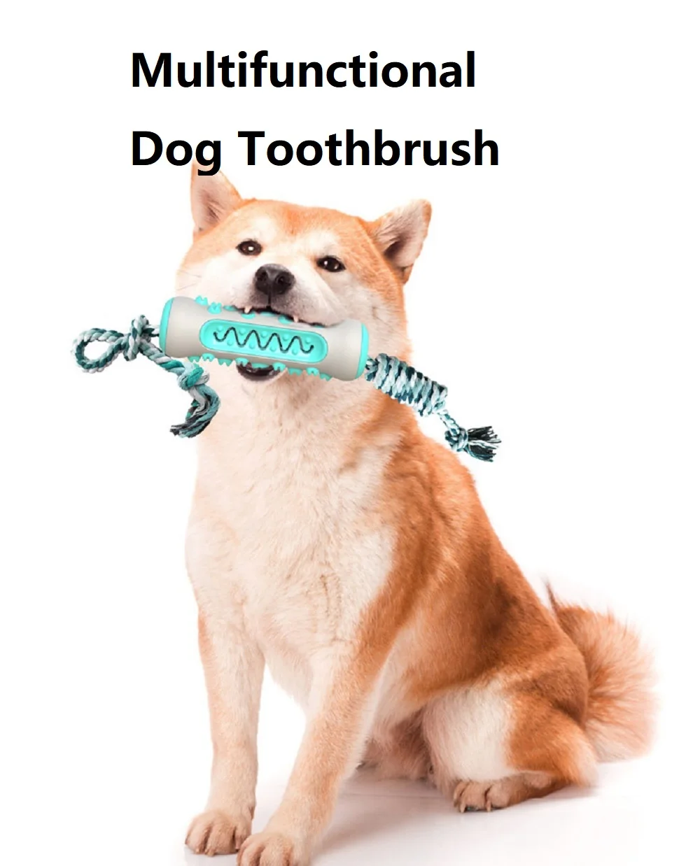 Pet Supplies Amazon Pop Dog To - Pet Supplies Amazon avis et prix
