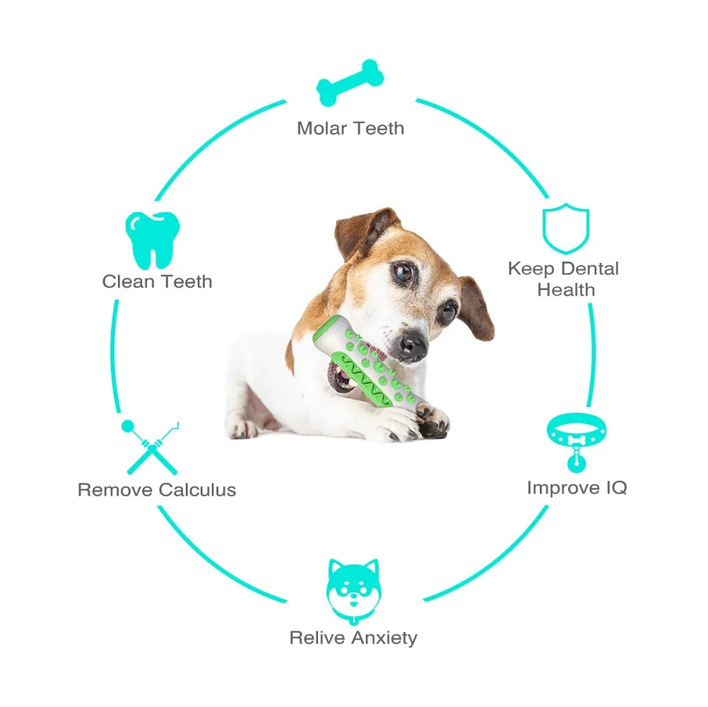 Pet Supplies Amazon Pop Dog To - Pet Supplies Amazon avis et prix