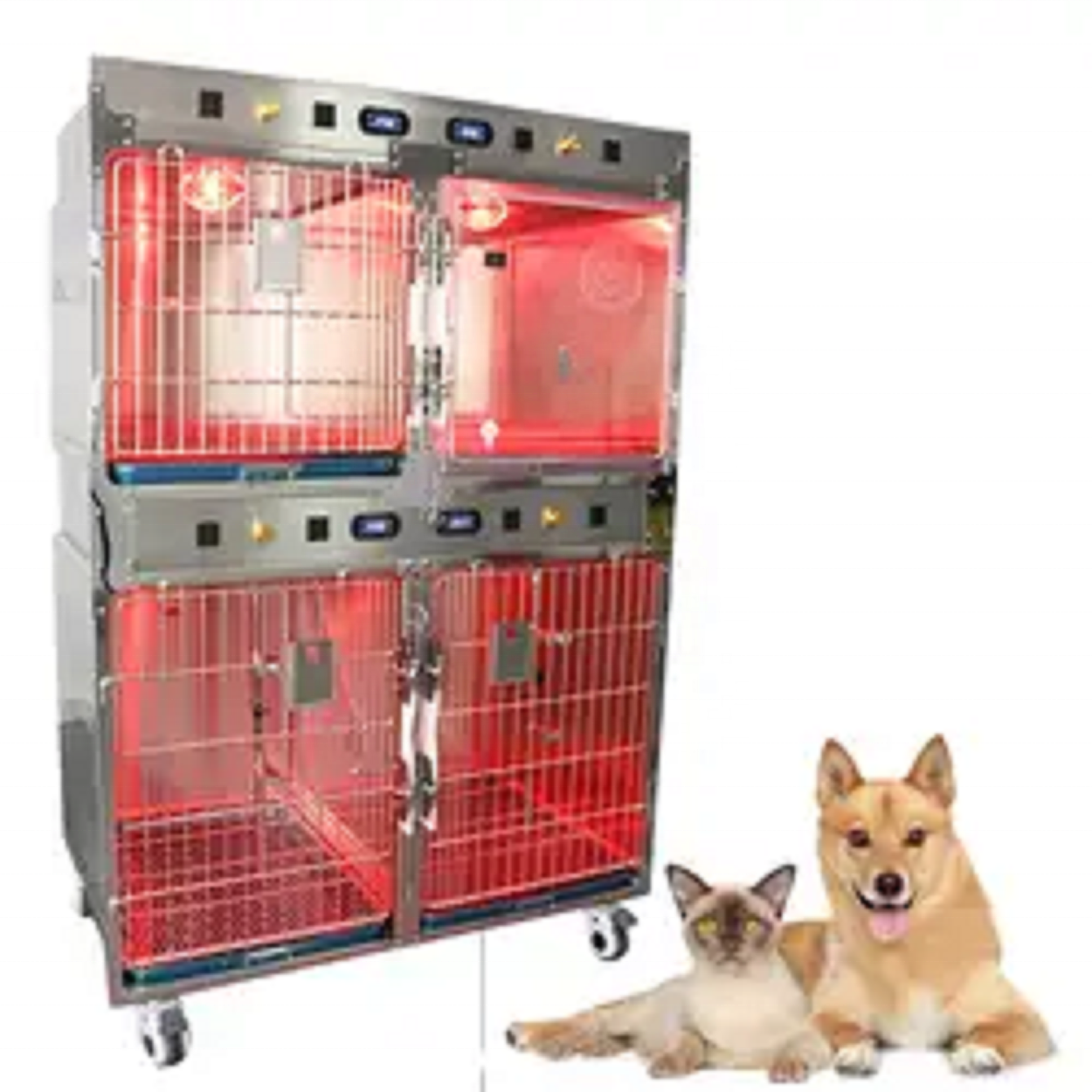 Pet Care Best Selling Cage Cat - Pet Supplies Vet avis et prix