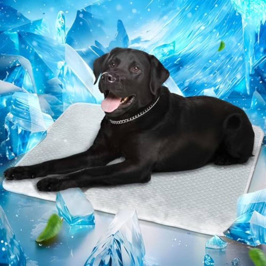 Dog Cooling Mat Instant Self C - Dog Cooling Mat avis et prix