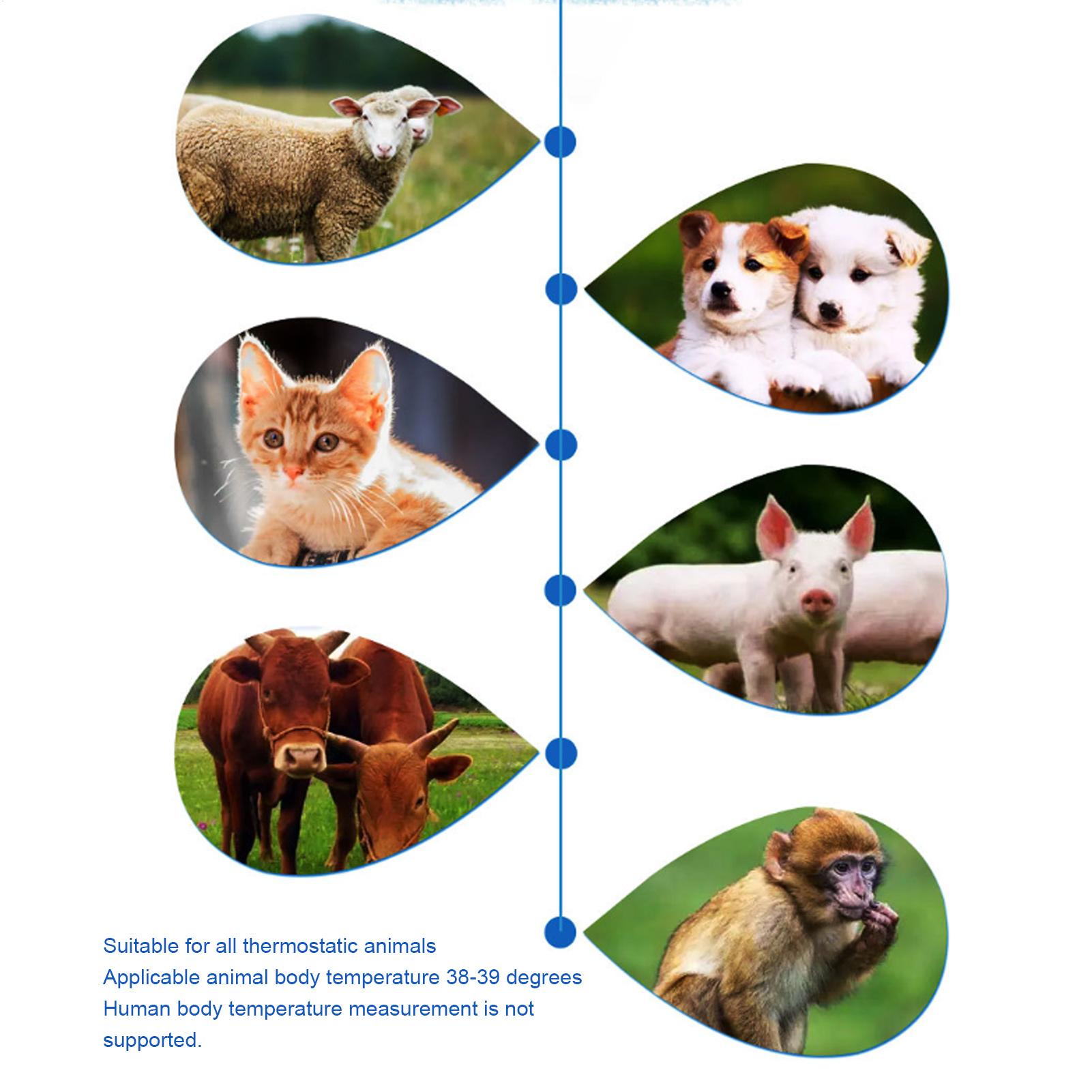 Animal Temperature Detector Du - Pet Supplies Vet avis et prix