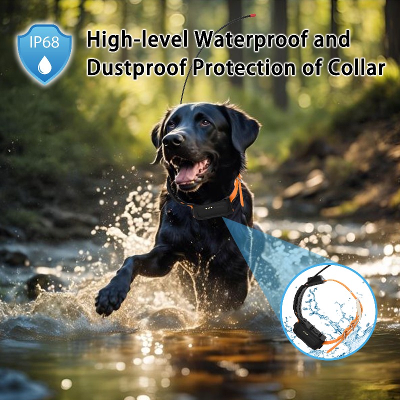 2026 Canine Health GPS Tracker - Pet Supplies Login avis et prix