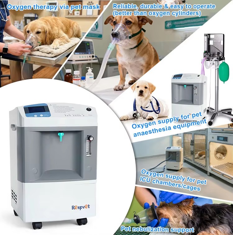 Veterinary Oxygen Supply Devic - Pet Supplies Vet avis et prix