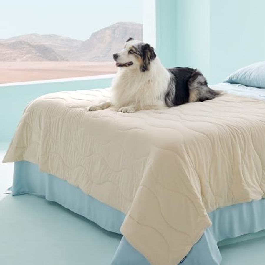 Premium Cooling Dog Blankets f - Dog Cooling Mat avis et prix