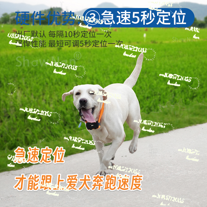 Apply to GPS Pet Dog Satellite - Pet Gps Tracker Collar avis et prix