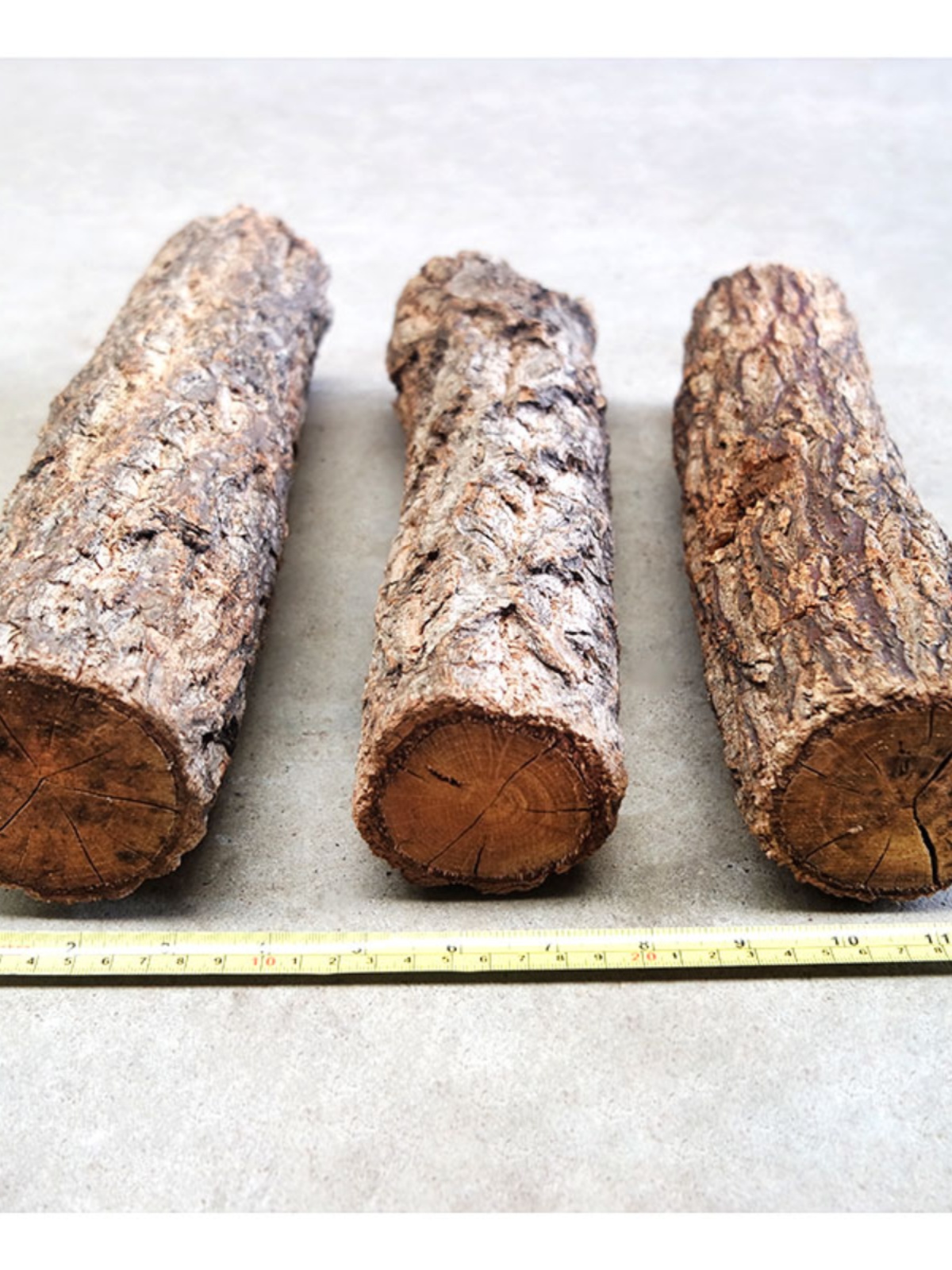 Natural Wooden Log Aquarium De - Pet Supplies Login avis et prix