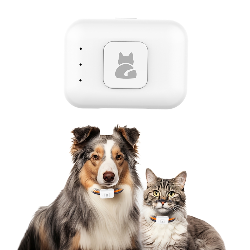 GPS Pet Tracker with Colorful  - Pet Gps Tracker Collar avis et prix
