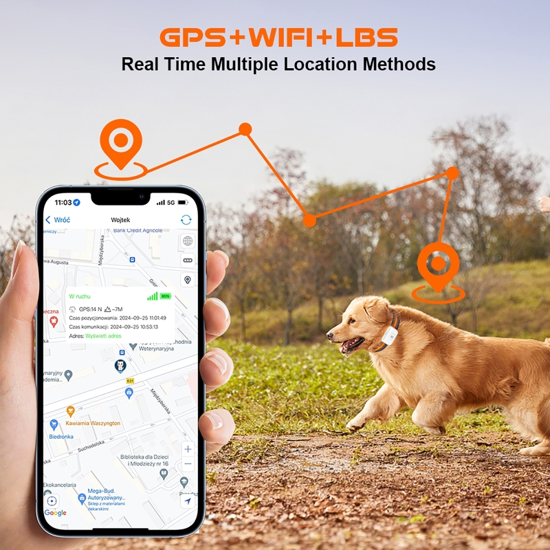 GPS Pet Tracker with Colorful  - Pet Gps Tracker Collar avis et prix