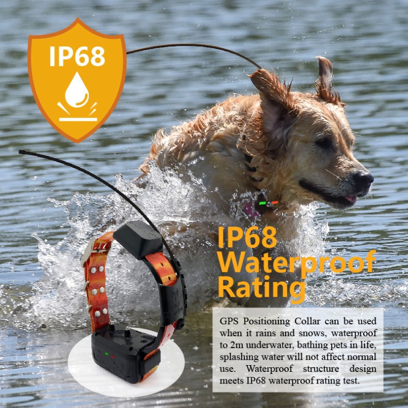 Enterprise Dog GPS Fence Manag - Pet Supplies Login avis et prix