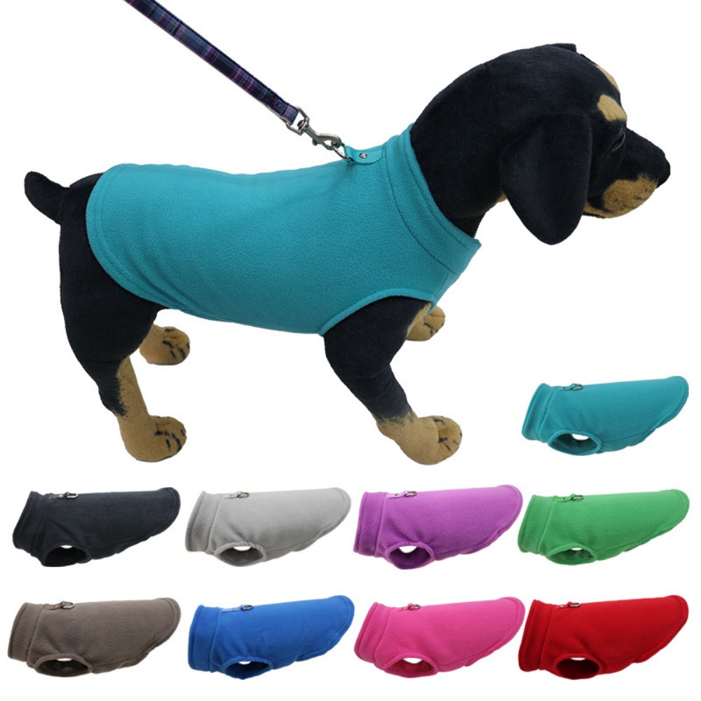 Europe, America, Amazon pet cl - Pet Supplies Amazon avis et prix
