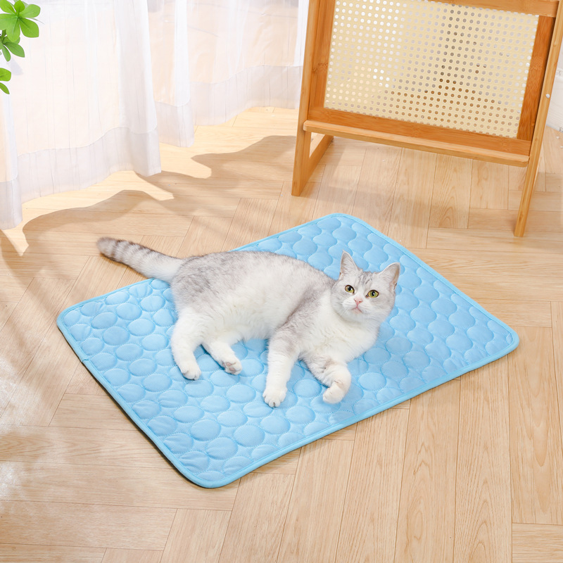 Summer Ice Silk Pet Cooling Ma - Dog Cooling Mat avis et prix